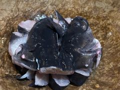 -众品蒸汽石锅坊