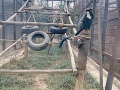 -石家庄市动物园