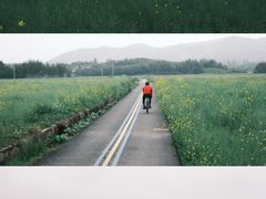 -径山花海