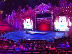 -珠海横琴长隆《卡卡虎奇遇记》