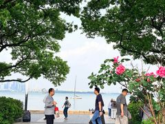 -金鸡湖景区