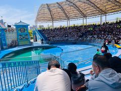 -华夏文旅海洋公园