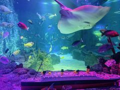 -沈阳海洋探索中心