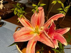 -轻武堂传统射箭·功夫茶·射击体验馆(仁和新城店)