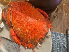 -菲住布渴酒店自助餐厅(阿里巴巴西溪园区店)