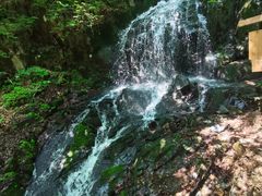 -本溪汤沟绿石谷森林公园