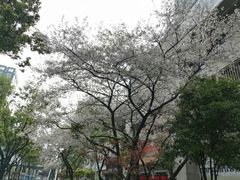 -宁波威斯汀酒店