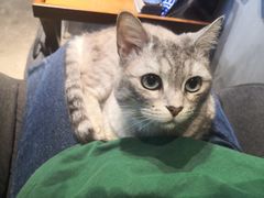 -脉冲品质汽美·贴膜(闵行店)