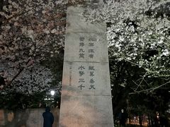 -武汉大学-樱园