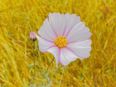 -宁波五龙潭景区