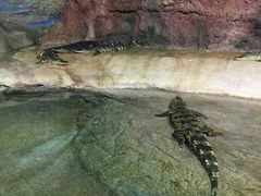 -福州罗源湾海洋世界旅游区