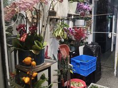 -FEI FEI FLOWER鲜花店·气球派对·宝宝宴布置(虹口德必运动Loft店)
