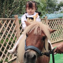 -萌宠亲子动物乐园(槐房万达店)