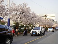 -永乐路-路侧停车场