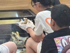 -上海大自然野生昆虫馆(东方明珠·爬宠昆虫探索中心)