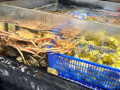 -高佳庄·舟山海鲜(海景旗舰店)