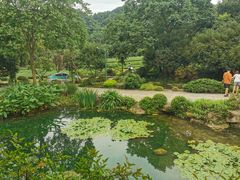 -中国茶叶博物馆(双峰馆区)