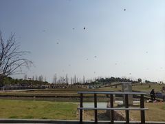 -滆湖低碳生态公园