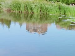 -前关湿地公园