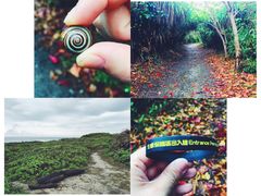 -龙坑生态保护区