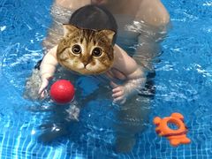 -嘻游纪亲子游泳中心(天佑城店)