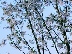 -白塘生态植物园