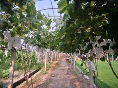 -美家乐农庄·露营·团建(大治路店)