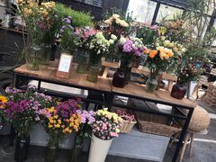 -北马山庄植趣咖啡