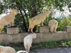 -白草畔自然风景区