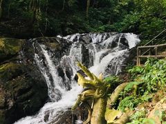 -莫里热带雨林景区