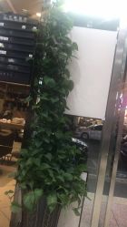 -环球蝶上美业连锁