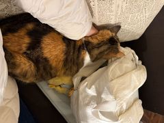 -隅cafe(傅厚岗店)