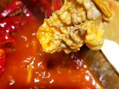 -小龙坎老火锅(北京三里屯店)