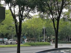 -大望京公园