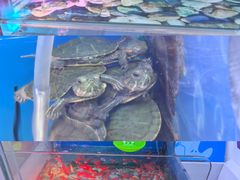 -利群商厦(台东店)