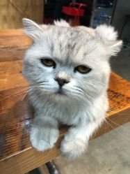 -蚂蚁造型沙龙