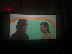 -枫花园汽车电影院(朝阳公园店)