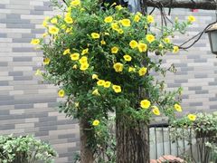 iphone_upload_pic-陈熹公民族美食文化餐厅(中华广场店)