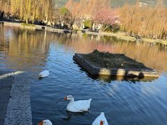 -丽江悦榕庄酒店-明月·雪山庭院餐厅