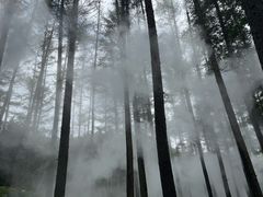 -洛阳白云山景区