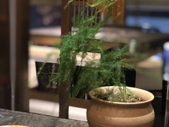 -新草堂锅物料理(泉城路店)