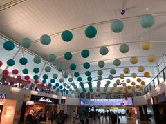 -约翰·菲茨杰拉德·肯尼迪国际机场