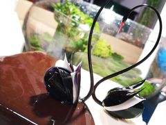 -BLACKSWAN黑天鹅(环球店)