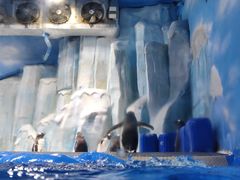 -石家庄市动物园