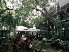-Fern Forest Cafe