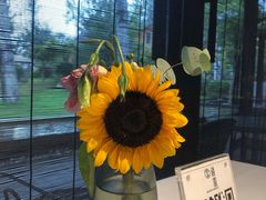 -禧宴Joyous Restaurant(禧园店)