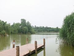 -白鹭湾湿地公园