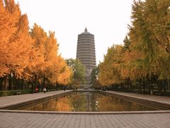 -玲珑塔公园