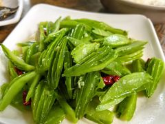 -晓雯人家