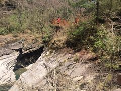 -黎坪国家森林公园